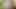 Sıcak ev hanımı lukerka'nın evinde neşeli bir flört ile başka bir sabah. geleneksel sabah hazırlığı
