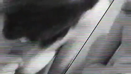 o seviyor horoz 35..rdl