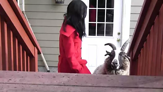 Kötü lezbiyen metresi işkence ona masaj hizmetçi