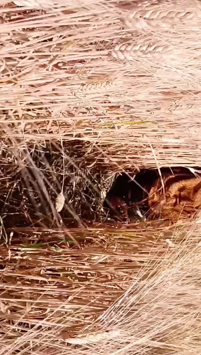 Outdoor sex full body nude outdoors sex