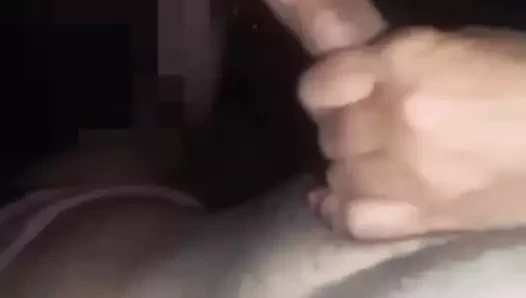 Kayıt için ikna edilmiş puma