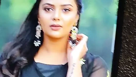 Sreemuki döl haraç 2