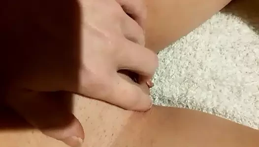 Amcık