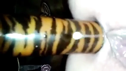 Damlayan kedi.... yummm!