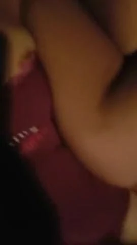 poli kıllı KEDİ