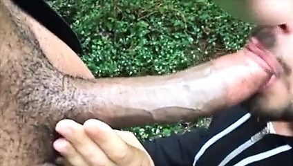 Bbc emdi içinde the orman