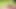 sapphic erotik tarafından eğlenceli piknikçiler - lezbiyen aşk porno