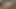 Briana lee çırpılmış kremalı kedi web kam video tarafından jls