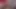 Sürtük latin tiktok çıplak sızdırıldı