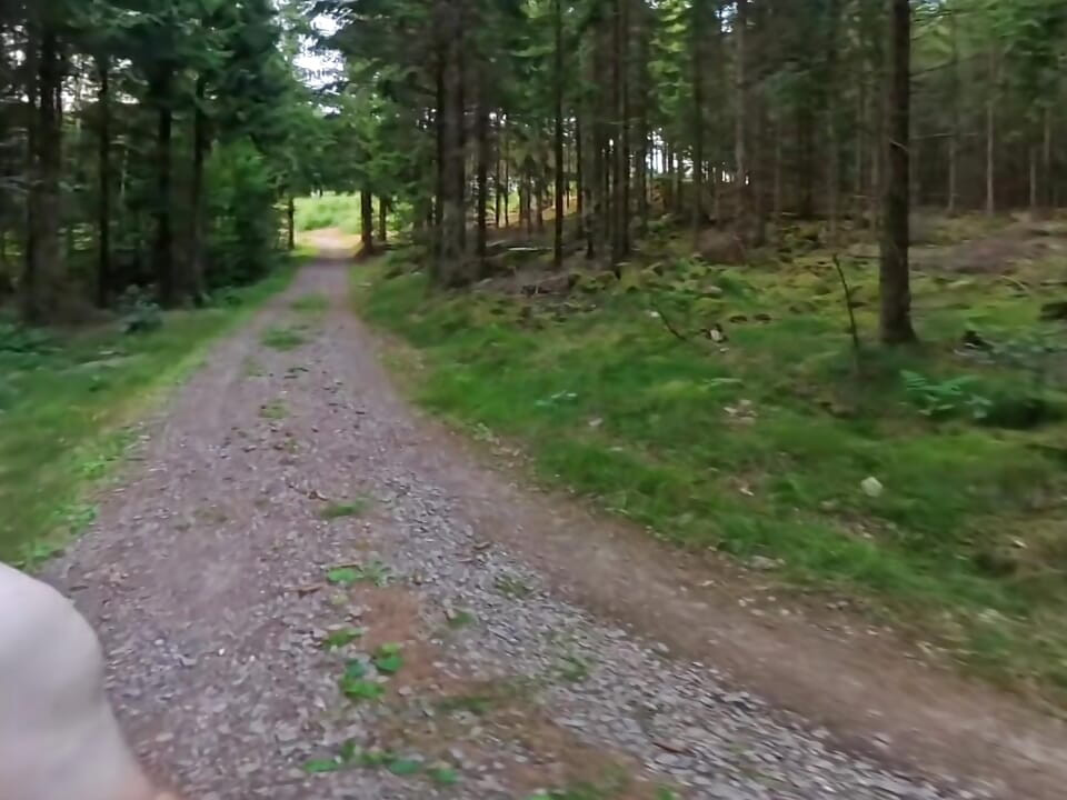 Genç bir gencin yeşilliğinde çıplak yürüyüş