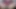 Seksi kız videoları geri döndürüyor