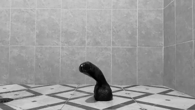 10 inçlik dildoyla götümü sikiyorum