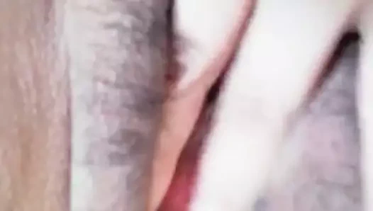 Çinli ev hanımının kedi