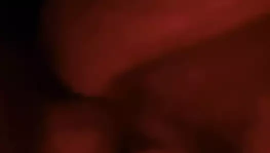 sıkı kedi