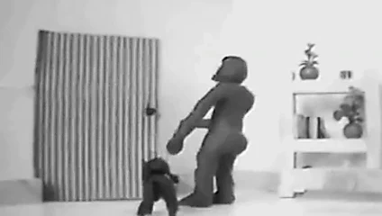 g İmparatorluğu devleti