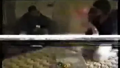 Hubby Gives Wife a Group of Blacks for Birthday! Imagine XXXmas! Read Rate Comment!