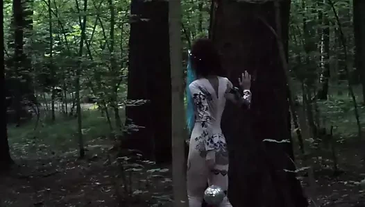 Derin orman yürüyüşü