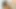 Üvey annemin göğüslerini ve amını sikmeye dayanamıyorum azgınlığını görüyorum - porno en español