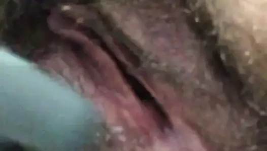 azgın kıllı KEDİ