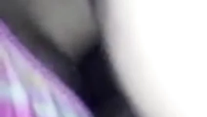 amatör amatör