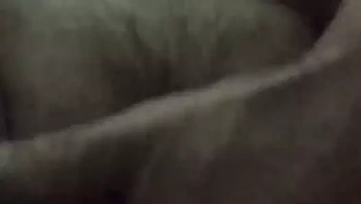 parmak the hanımları KEDİ