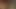 Andrea Obermeier und Porno Ralle