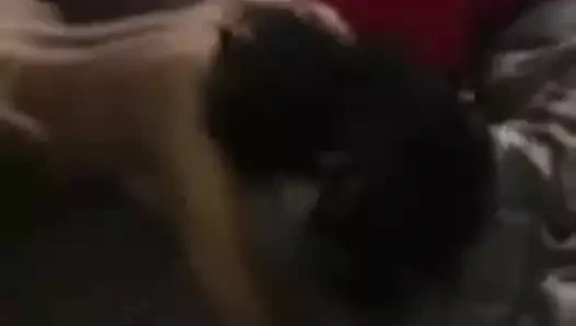 Daha sert siyah adam daha zor