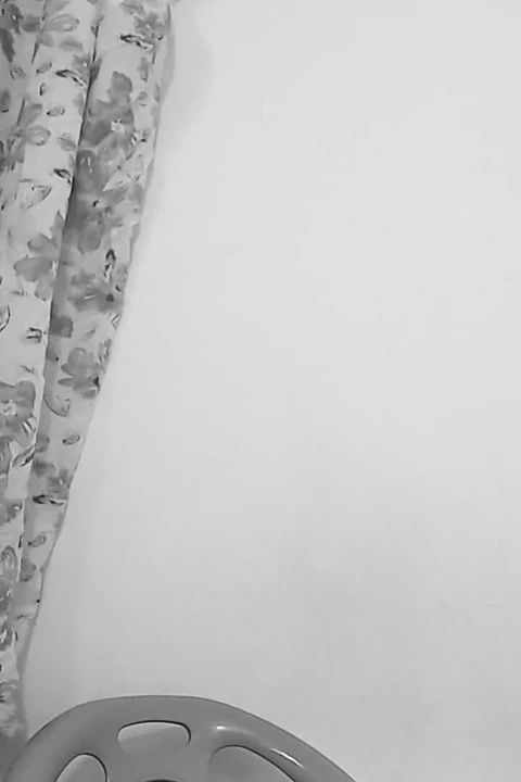 Valkyrie: en iyi pullet milker ve sevdiği hayat