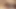 Heteroseksüel döl fışkırtmalı köpek yavrusu!