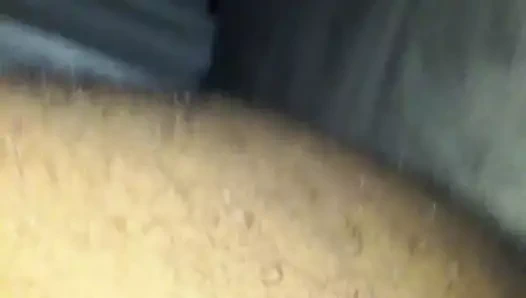 Kedi oyuncak üzerinde benim çük