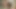 Porno yıldızı röportajları (seks yok, çıplaklık yok)