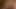 santas little helper under the Christmas tree now in full 4K high quality Ultra HD