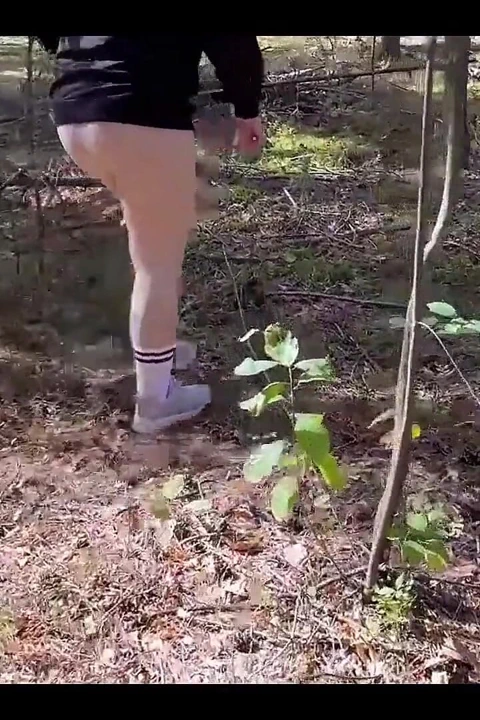 Ormanda mantar yürüyüşü amında kene