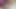 Sarah Sue Leyuto'dan Basilisk Luminous Fantastik Dildoyu İnceliyor