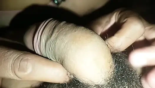 Her Lovebirds Pairing