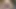 A090B01 Toyosu celebrity wife fashion check. Bay area housewife rich lewd view!