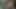 Büyük memeli esmer açık havada kaslı adam tarafından sikiliyor