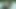 Rocker civciv kamu kahrolası