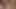 Fake hostel - selfie kızı: esmer bir kadınla ateşli anları yakalıyor