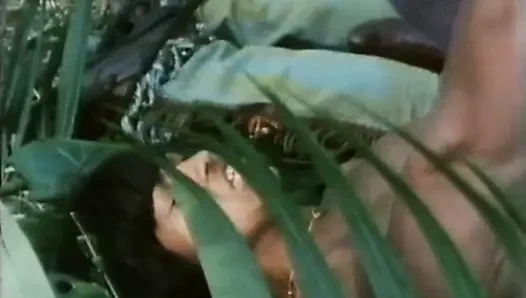 Schatzchen am silbersee (harika video)