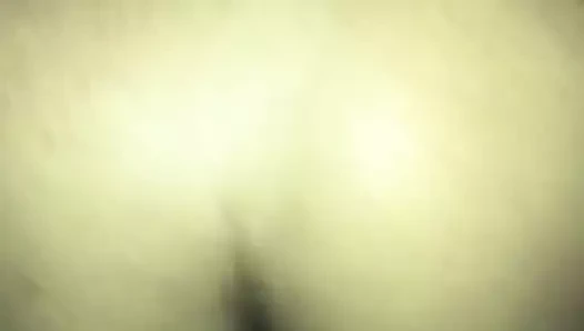 Bondom ile kedi ıslak bile