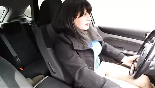 chatte a l air au volant