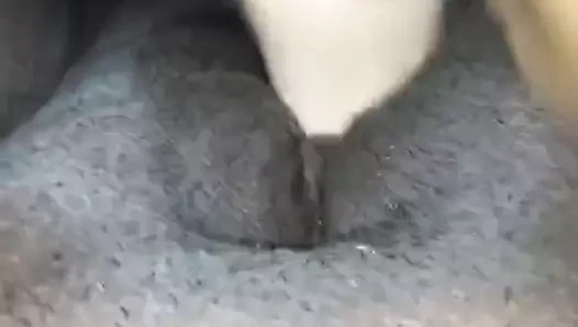 Singapore ssbbw şişman kedi ile büyük beyaz yapay penis