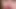roisin conaty için cumtribute