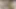 Tam video Meksikalı doğum günü kızı bugün beni gerçek ev yapımı porno evine davet ediyor