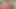 Seksi fileli kızlar ateşli üçlü sekste yarağı paylaşıyor