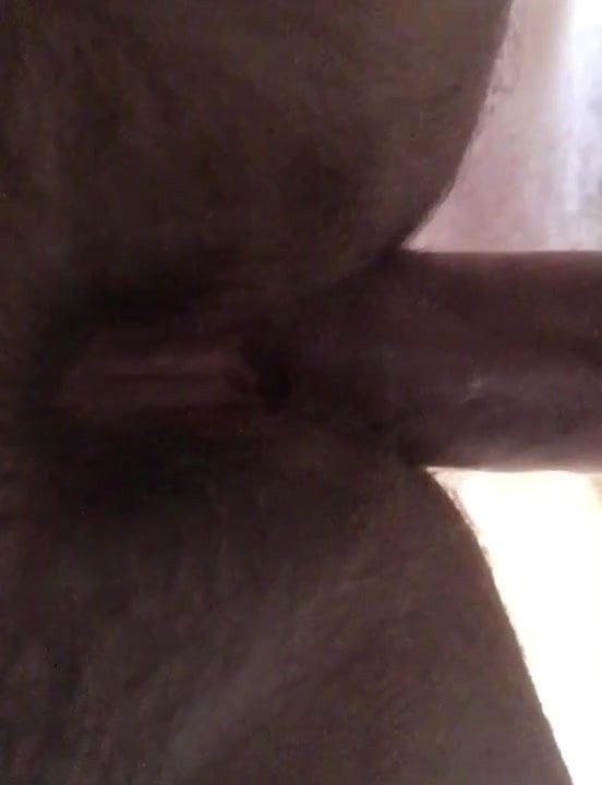 Lil büyük kıllı sıkı kedi