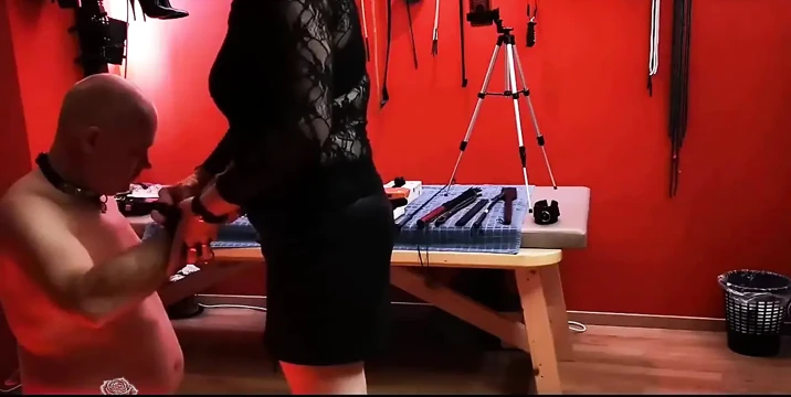 911662902006530049