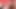 Travesti sikiliyor