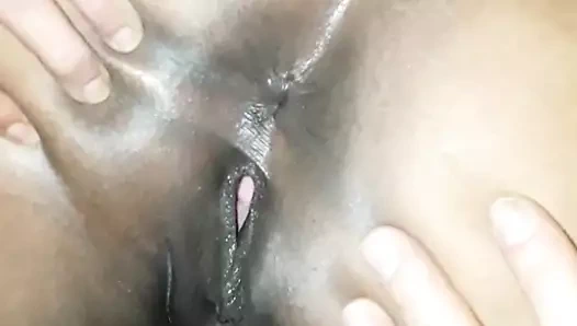 Belçikalı siyah kedi